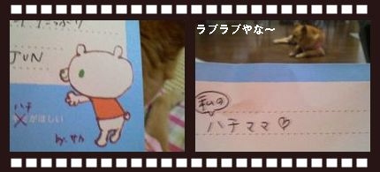 お義母様よりプレゼント４