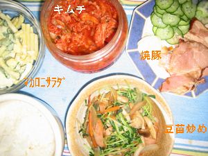 ハチパパの晩御飯58