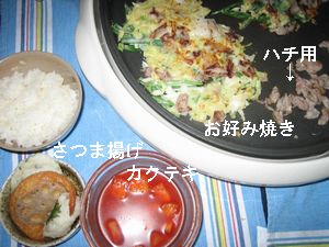 ハチパパの晩御飯29