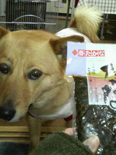 ハチもお礼