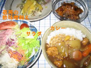 ハチパパの晩御飯91