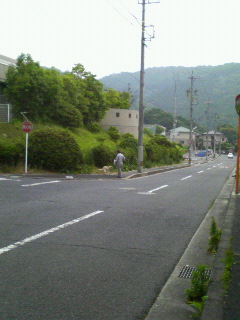 ミゾケン散歩中