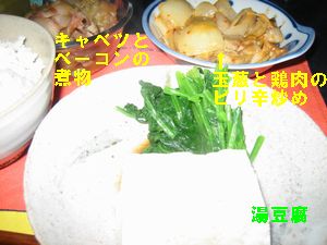 ハチパパの晩御飯９
