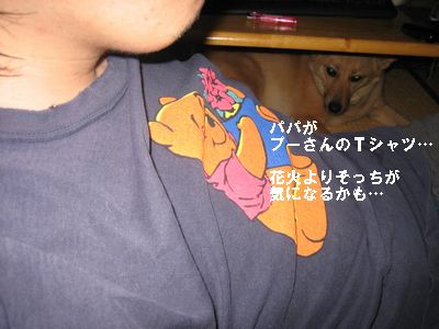 ハチ、避難