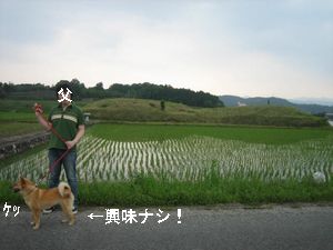 地元のコッフーン！
