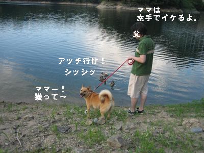 カモ２