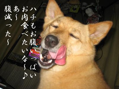 腹ペコ娘。