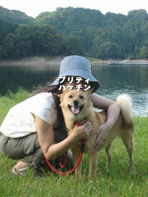 ハチとハチママ