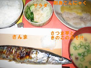 ハチパパの晩御飯90