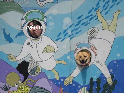 鳥羽展望台ムービー！！