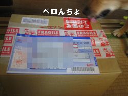 ともちゃんから貢物