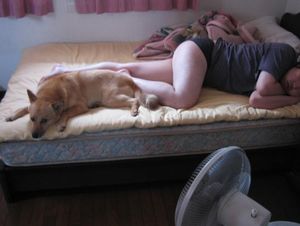 日曜日のハチ家の朝