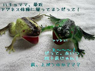 不良品カエルコンビ３