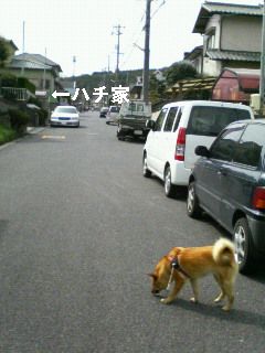 ハチ家のご近所さん路駐し放題
