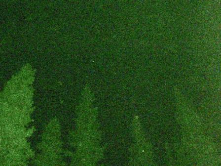 Copy of PICT0152.JPG