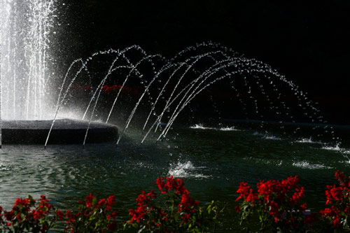 強羅公園の噴水