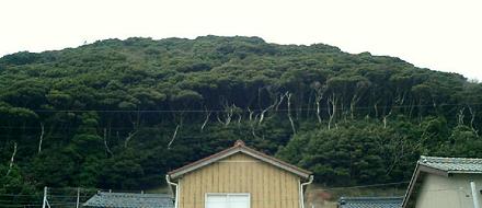 tateishi