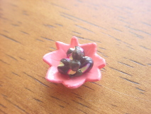 DSC00005.JPG