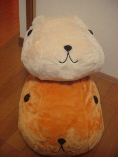 DSC00001.JPG