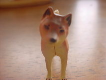 DSC00017.JPG