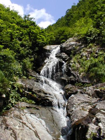 白毛門 016.jpg