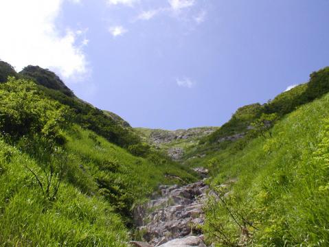 白毛門 021.jpg