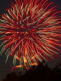 DSCN2398.jpg