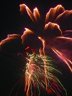 DSCN2408.jpg