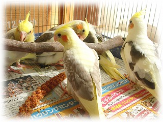 DSCN6846コピー.jpg