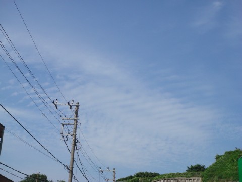 2007.06.23 15:46