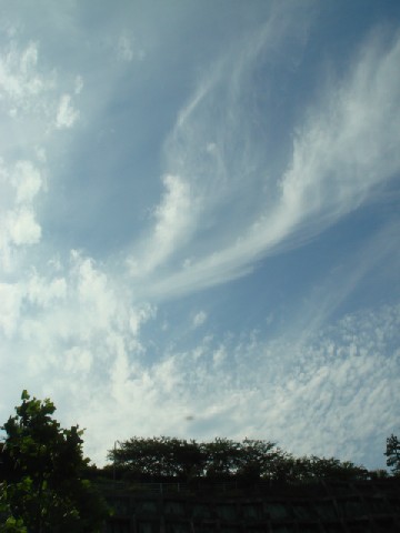 2007.06.23 15:57