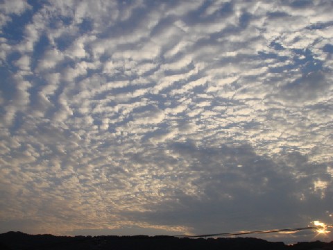 2007.06.23 18:22