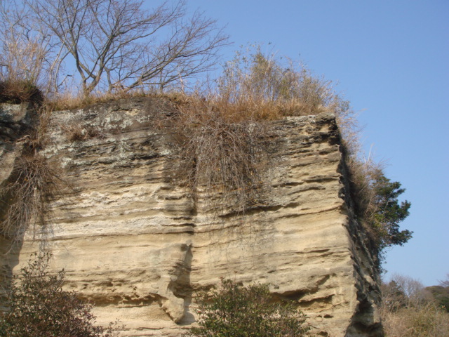 逗子　猿畠山　大切岸の一部