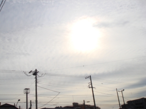 2008.01.05_12:41