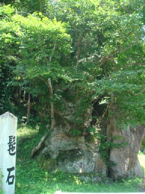 2007.07.25 11:47 達谷窟 髢石