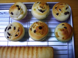 トリプルチョコチップロール