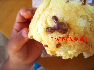 うさぎだよ（＾▽＾）