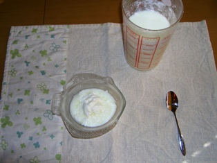 自家製ヨーグルト(≧▽≦)