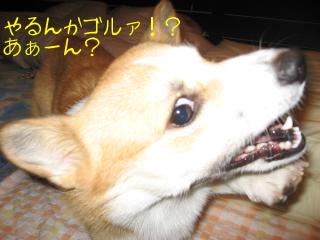 IMG_6132.jpg
