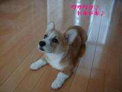 じぃぃ