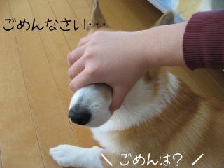 IMG_6237.jpg