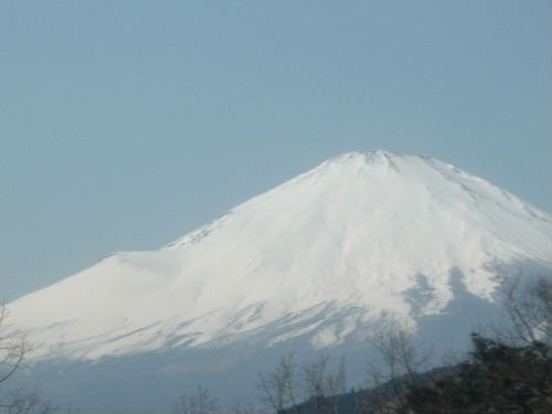 雪化粧がきれい～☆