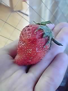 2010-01-27 19:40:16