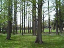 mizu3