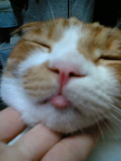 珠里　たらこ２