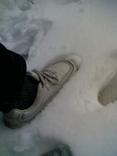 ニャンママ　足