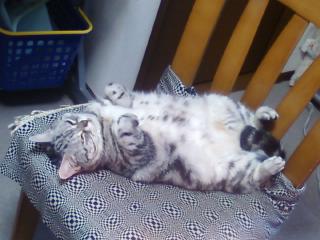 珠美　バンニャイ