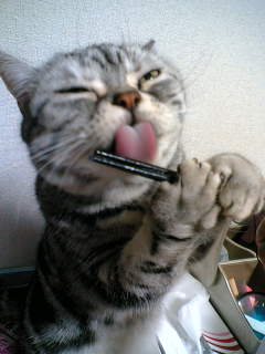 珠美　ペロペロ