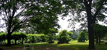 大船植物園