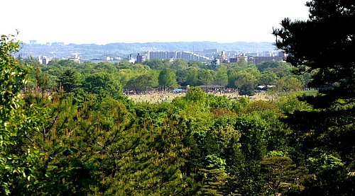 昭和記念公園　展望台より